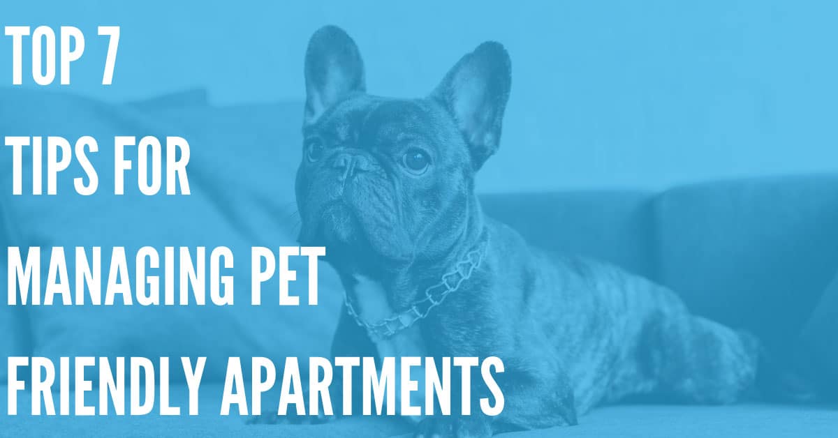 Managing Pet Friendly Apartments – Our Top Tips