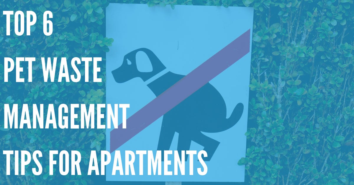Top 6 Pet Waste Management Tips for Your Apartment Complex