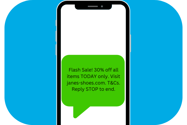 Promotional Offer SMS Marketing Example [Flash Sale! 30% off all items TODAY only. Visit janes-shoes.com. T&Cs. Reply STOP to end.]