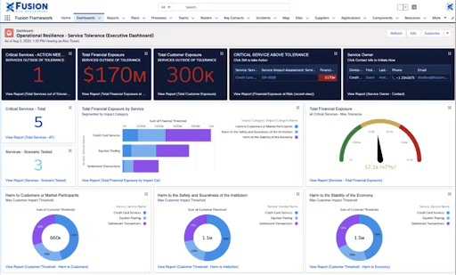 Executive Dashboard View - Fusion Framework System