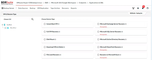 Instant and Granular Restore Options - BDRSuite